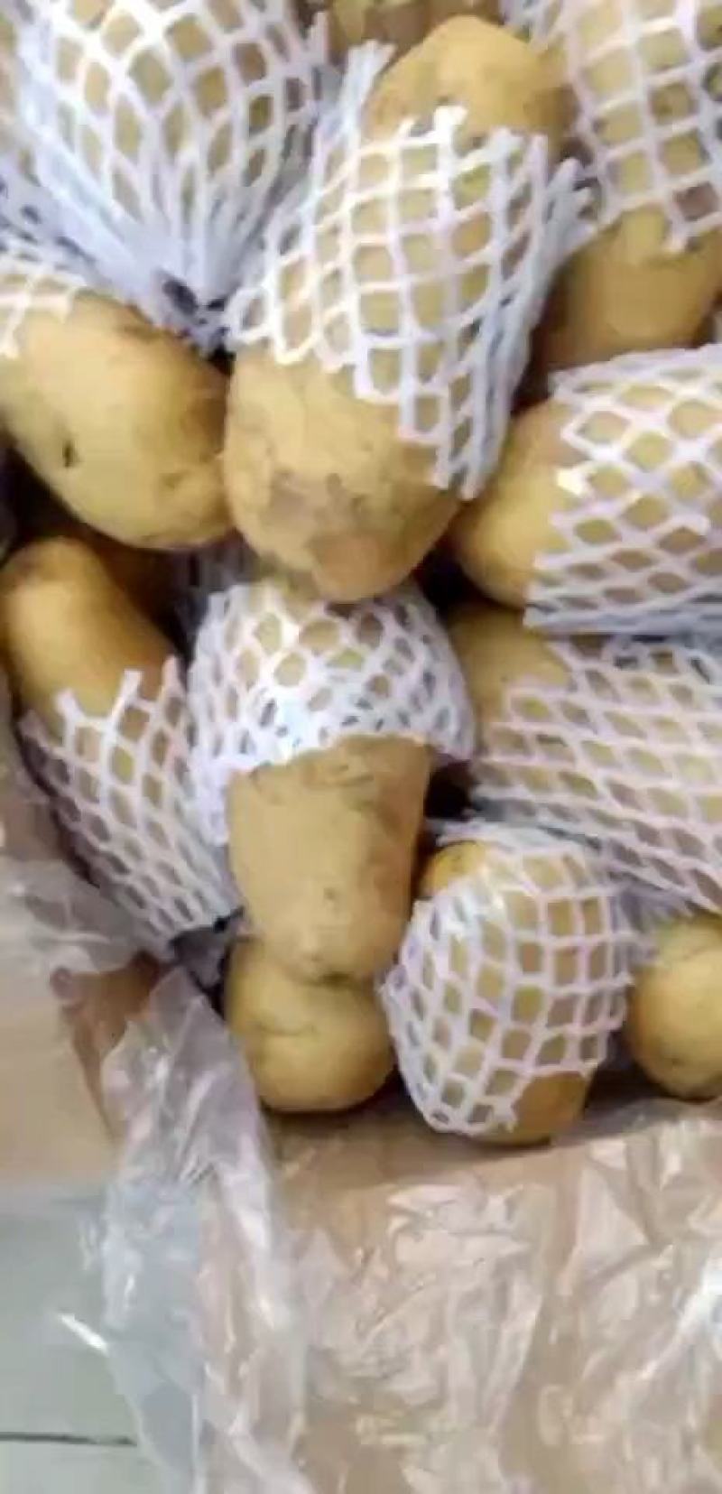 肥城精品库存土豆，大量供应，有需要的老板联系我