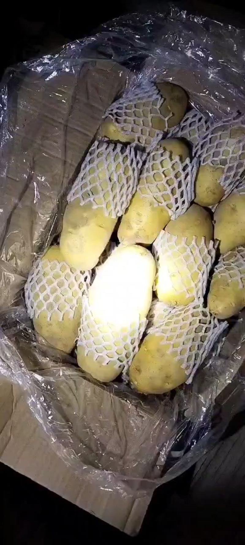 肥城精品库存土豆，大量供应，有需要的老板联系我