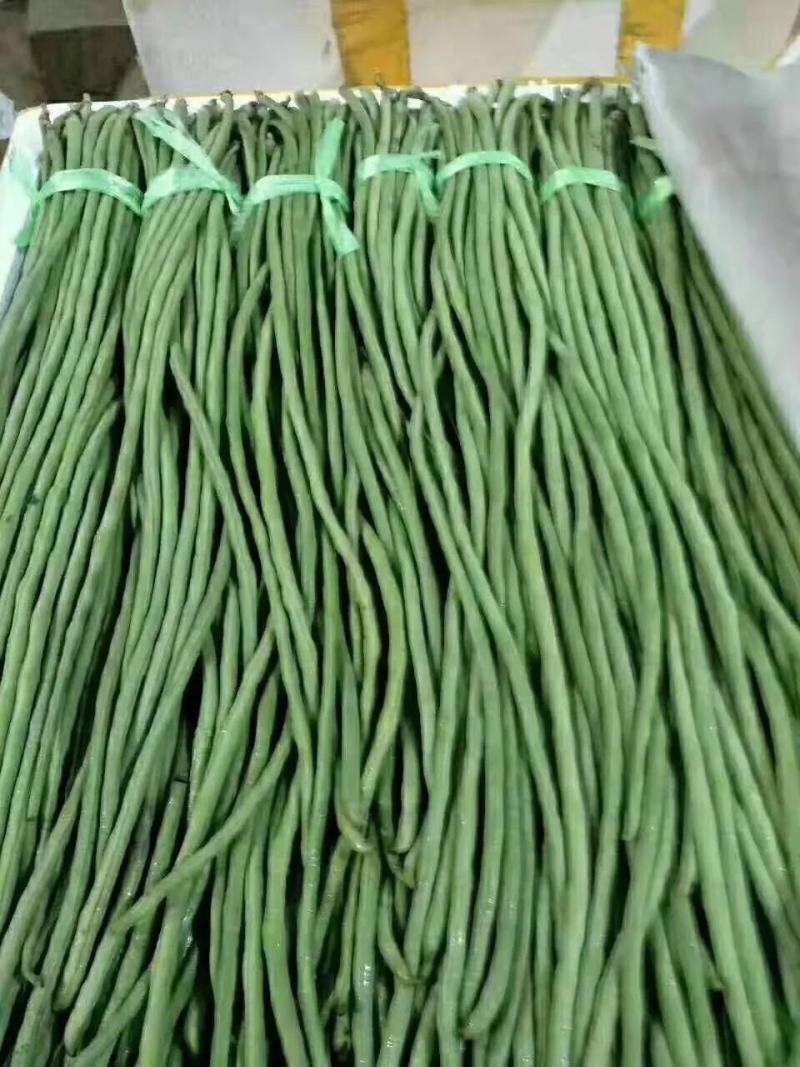 极早绿龙耐寒极早熟3-4节结荚青皮青肉油亮美观高产