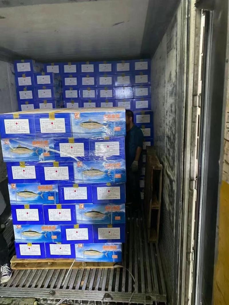 【推荐】新鲜金枪鱼排海鲜效鲜活速冻水产整箱发货