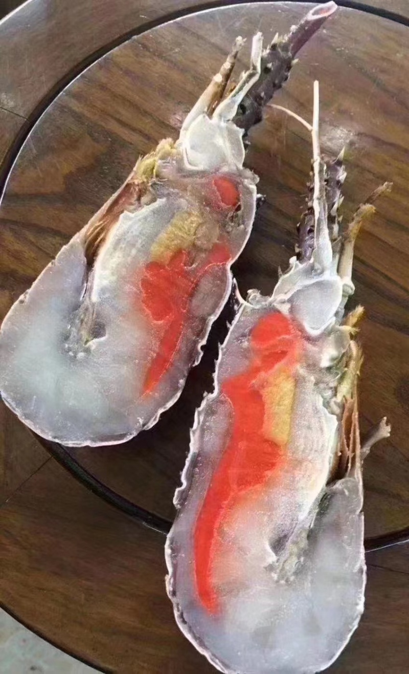 【产地直发】小青龙虾活冻，量大从优诚信经营