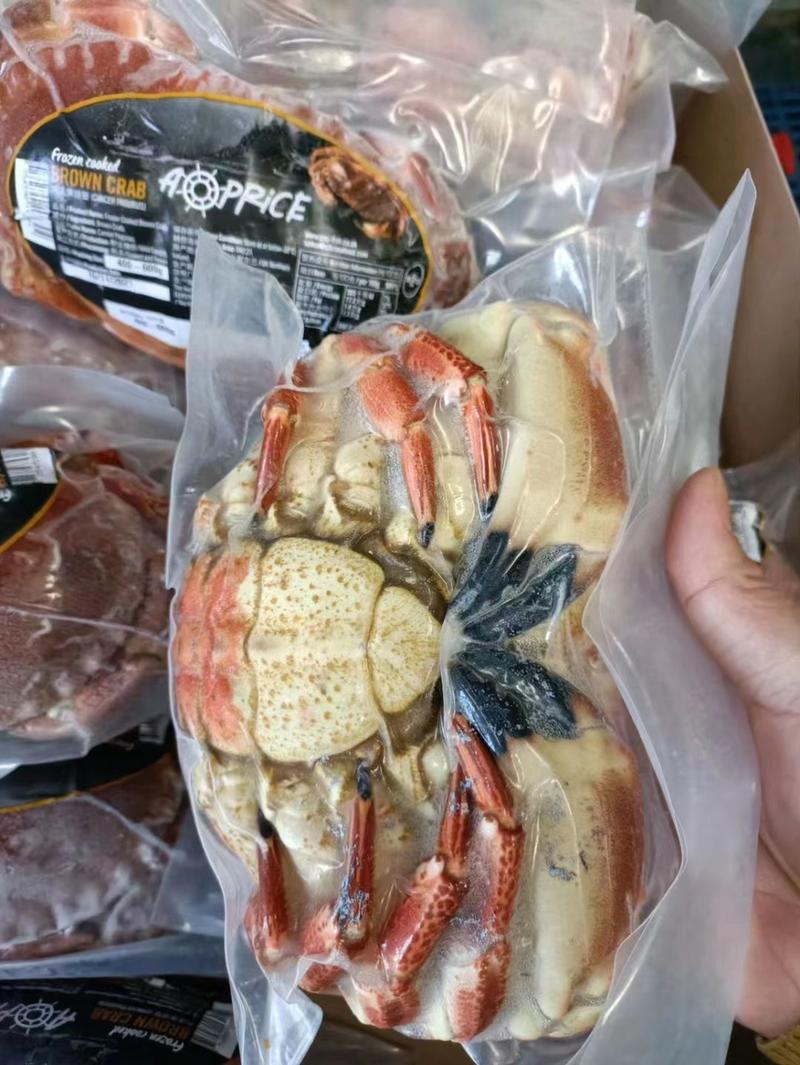面包蟹鲜活速冻超大螃蟹蟹黄爆满全国发货量大从优