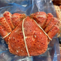 产地直发帝王蟹鱈蟹精品货源饱满肉多价格