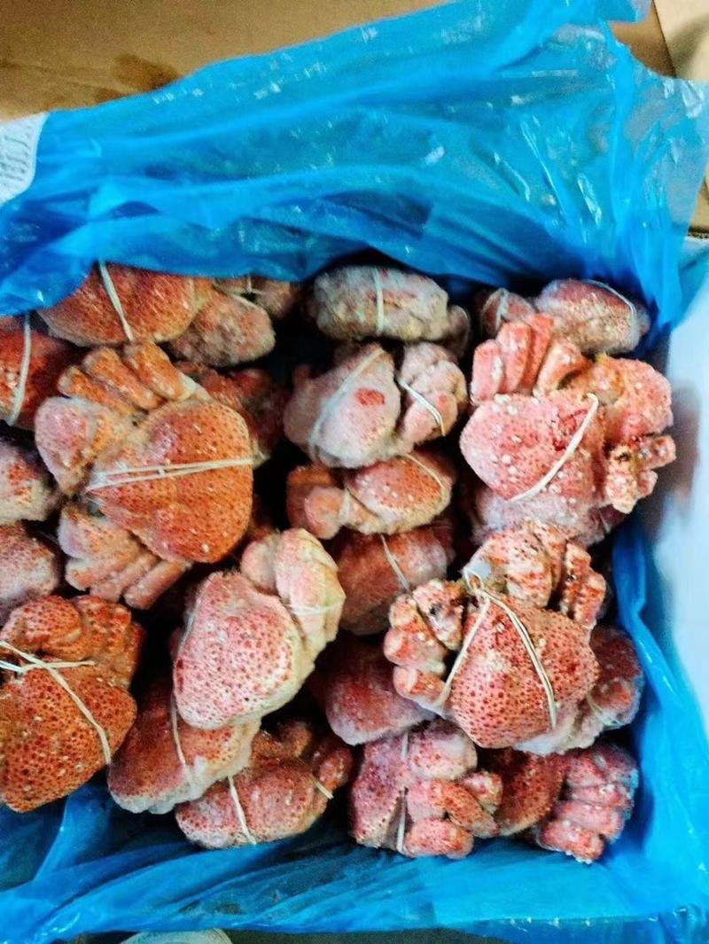 产地直发帝王蟹鱈蟹精品货源饱满肉多价格优惠