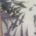 鲟鱼，产地直发量大从优，欢迎各位老板前来采购