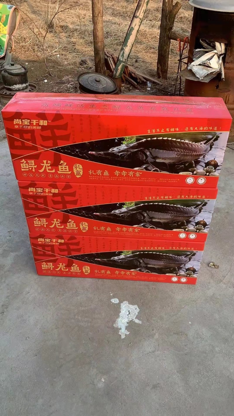 鲟鱼，产地直发量大从优，欢迎各位老板前来采购