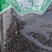 淡豆豉中药材药用香豉淡豉大豆豉各种规格中药材批发