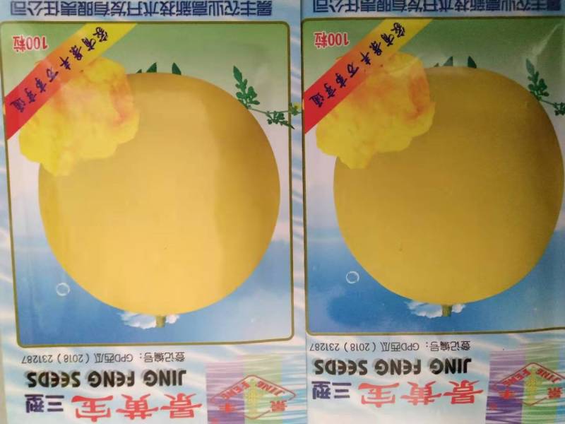 礼品西瓜种子，西瓜种子，单瓜重2公斤，好看好吃