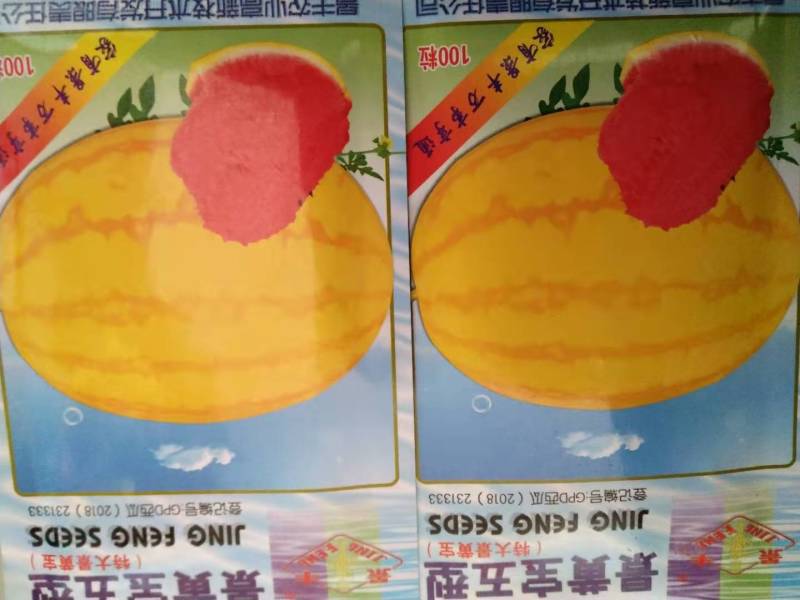 礼品西瓜种子，西瓜种子，单瓜重2公斤，好看好吃