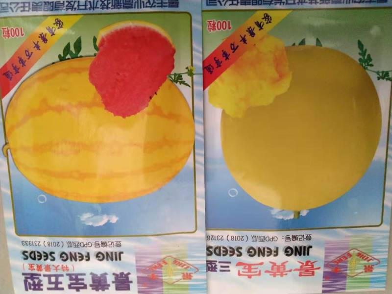 礼品西瓜种子，西瓜种子，单瓜重2公斤，好看好吃
