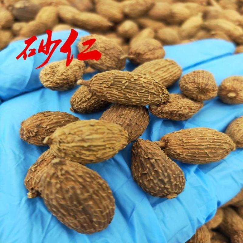 精选香料砂仁，药食两用砂仁砂仁中药香料调味品