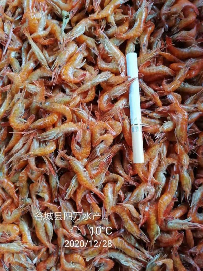 河虾干，大河虾干，大红虾干，淡水无盐大虾干，精品货，