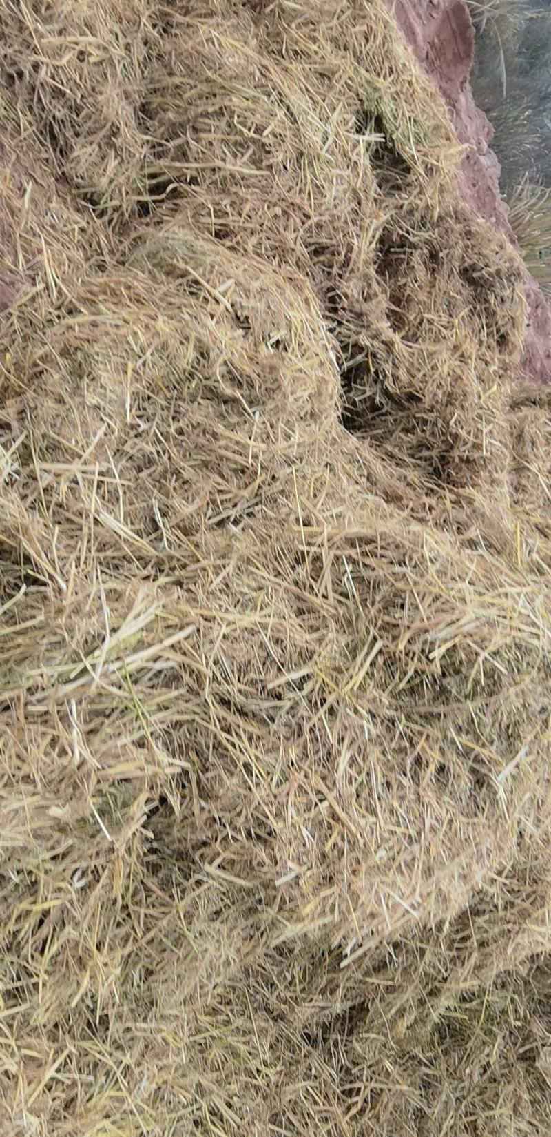 干稻草，干谷草有需要的联系