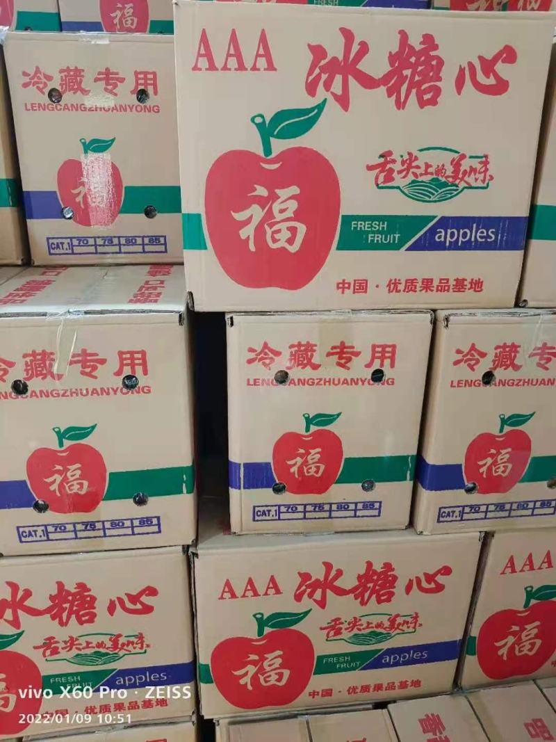 【牛】深州水果优质产区：冷库货80以上膜代富士