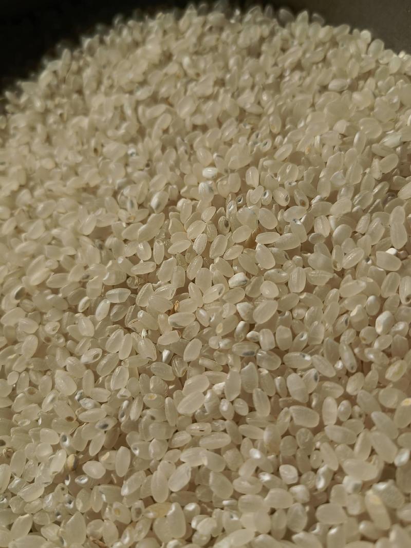 水稻，粳稻