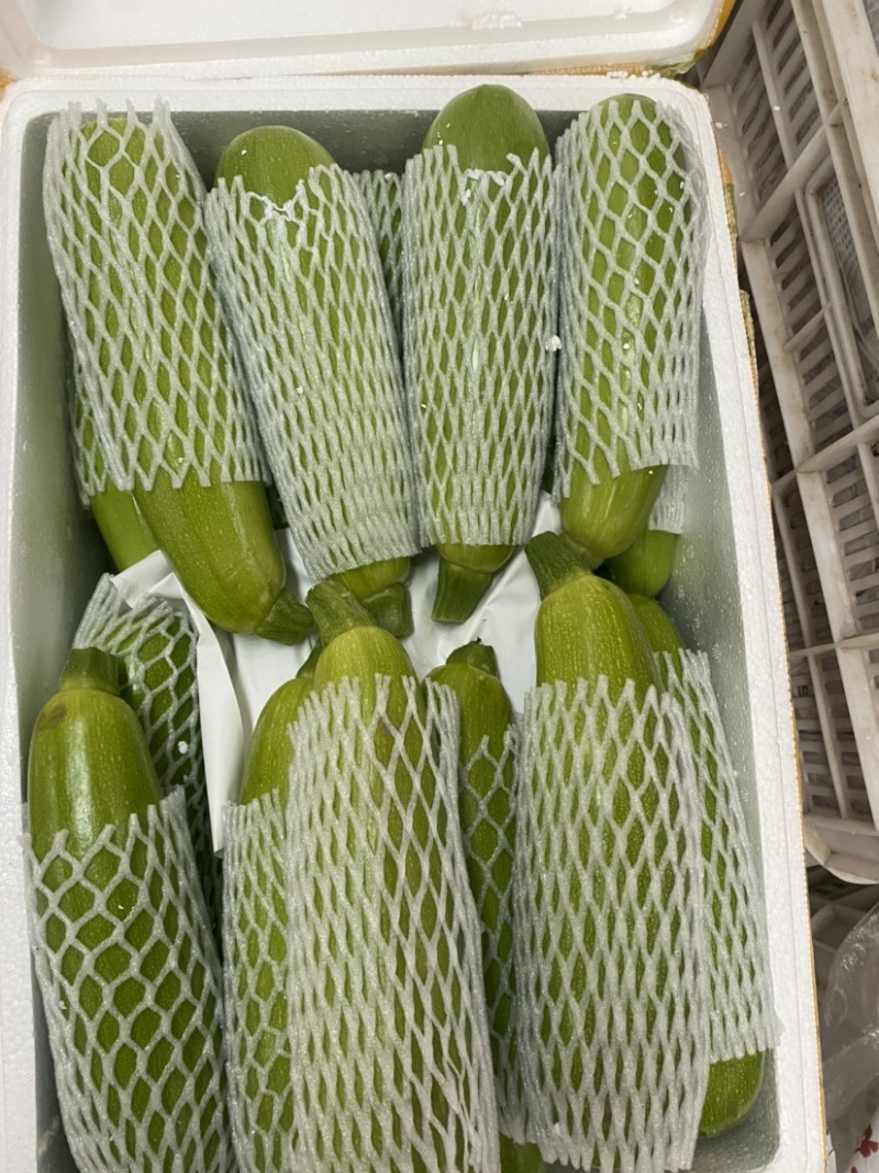 云南西葫芦，大量现货，有需要的联系我，