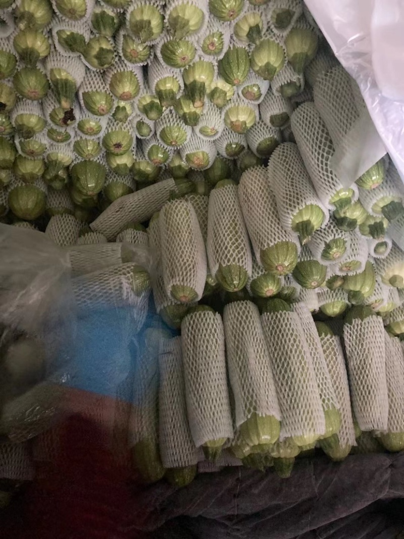 云南西葫芦，大量现货，有需要的联系我，
