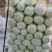 安徽基地精品娃娃菜优选好货欢迎电购