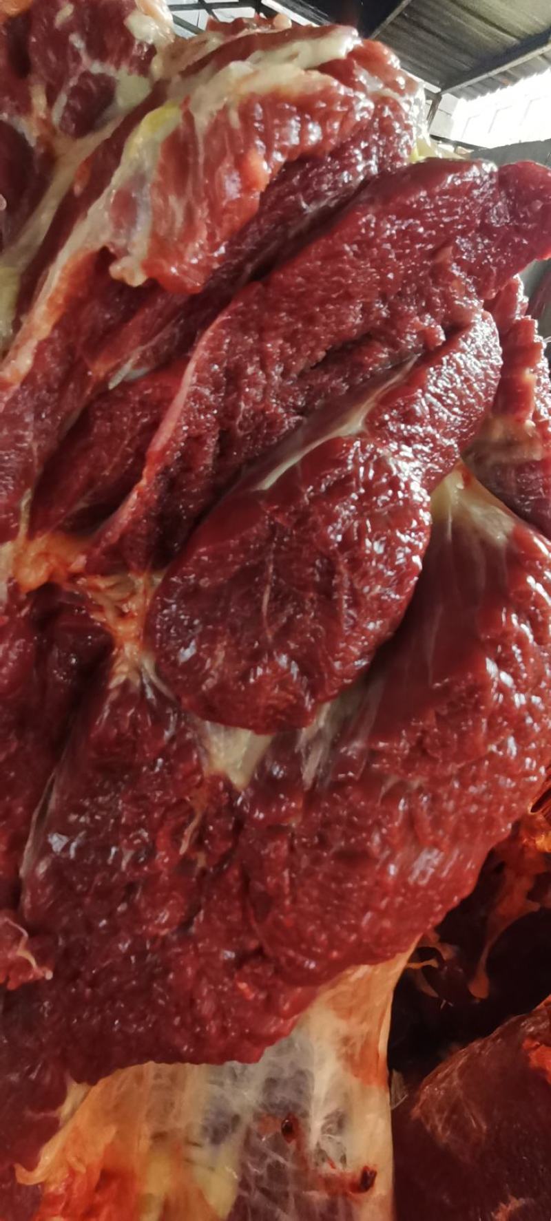 精品新鲜驴肉带皮驴肉，厂家直发，货源充足，品质保证