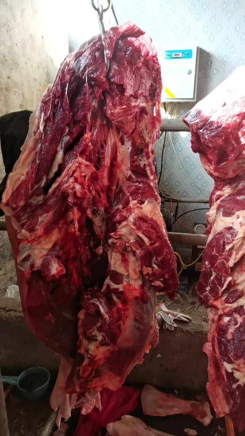 新鲜驴肉带皮驴肉，厂家直供，量大从优，品质保证
