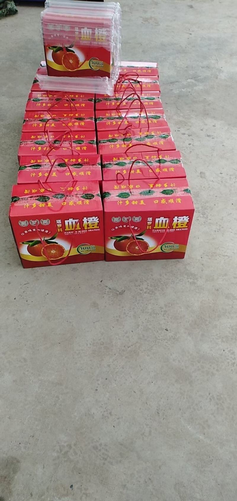 塔罗科血橙和各种橙子水果