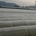 【精选】农用拱棚杆保温育苗支架玻璃纤维杆弓子批发