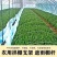 【精选】农用拱棚杆保温育苗支架玻璃纤维杆弓子批发