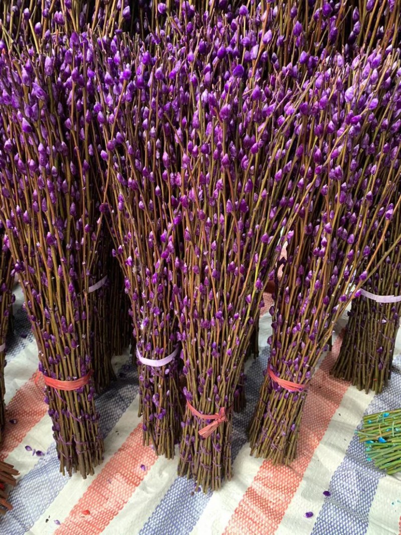 银柳批发现货包邮美丽迎新年有小灯笼配饰批发