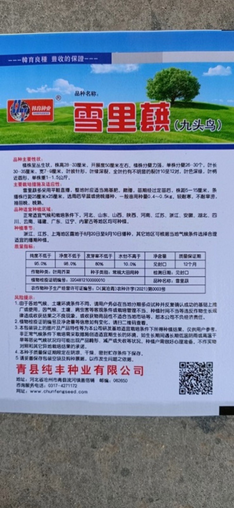 纯丰雪里蕻种子腌菜雪里红种子雪菜种子