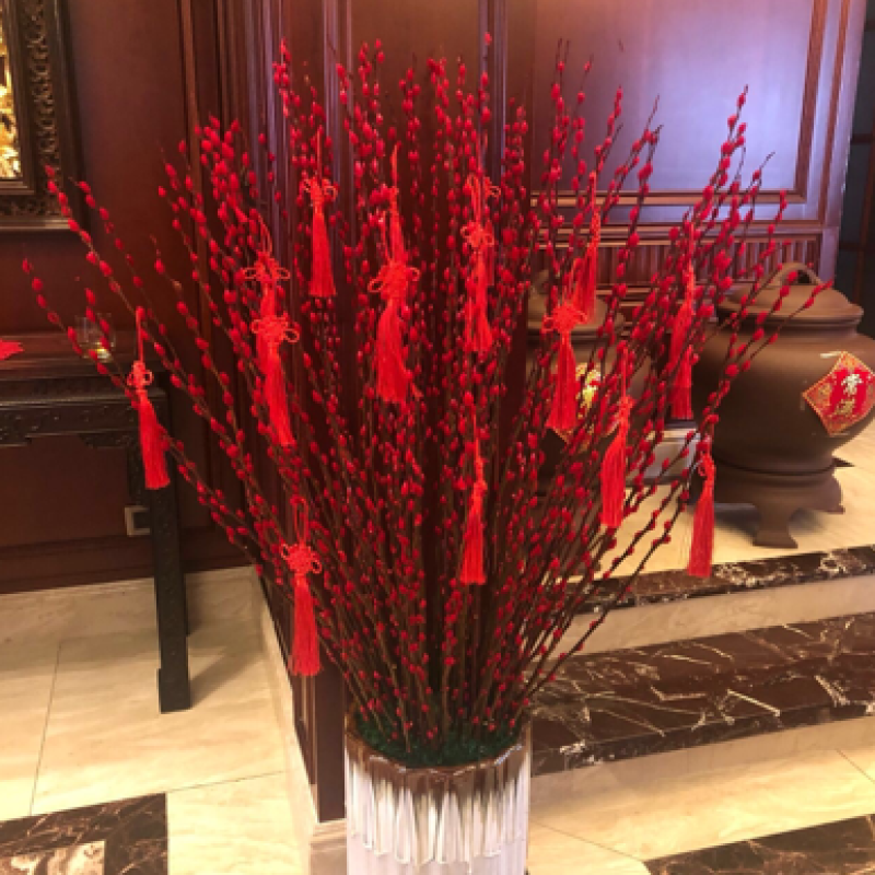 银柳批发现货包邮美丽迎新年白红黄绿橙蓝粉紫