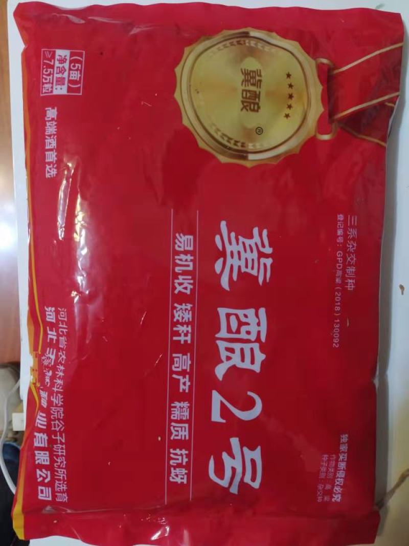 酿酒糯高粱,冀酿2号杂交超高产高粱种子,矮秆三系制种抗蚜