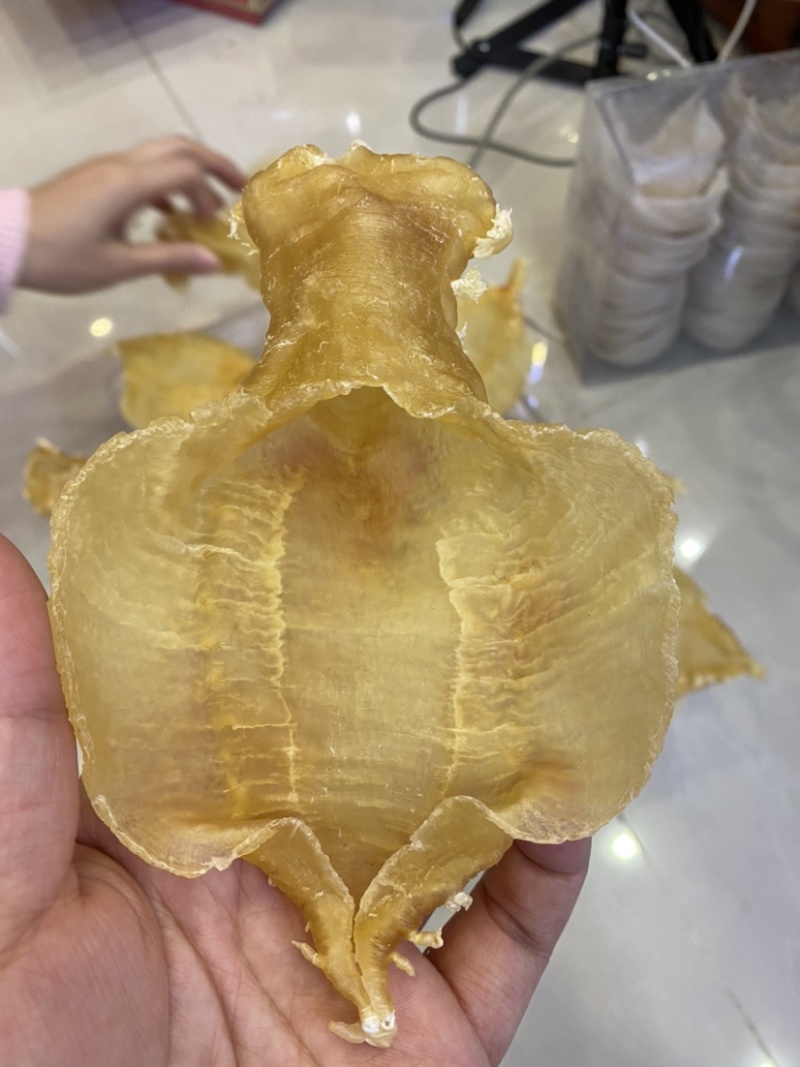 花胶本港刺花赤嘴公10头老货批发足干鱼鳔