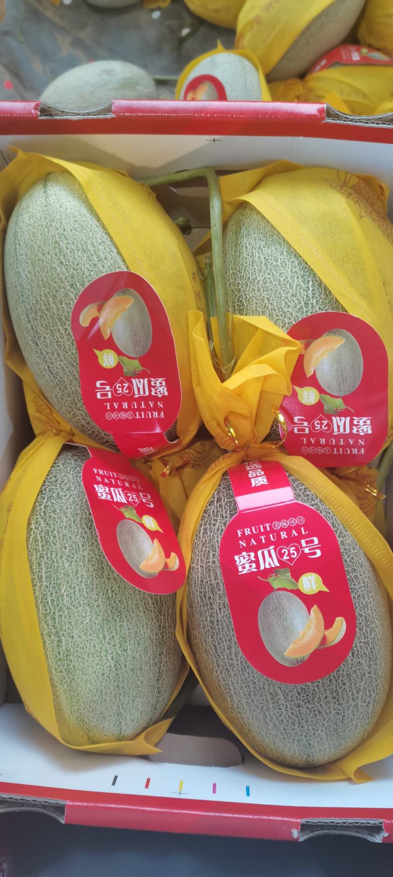 【实力】海南哈密瓜大量供应专业代收代发各市场电商平台