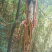 （热销）野生蜂蜜，产地直销，全国发货，量大从优，欢迎订购