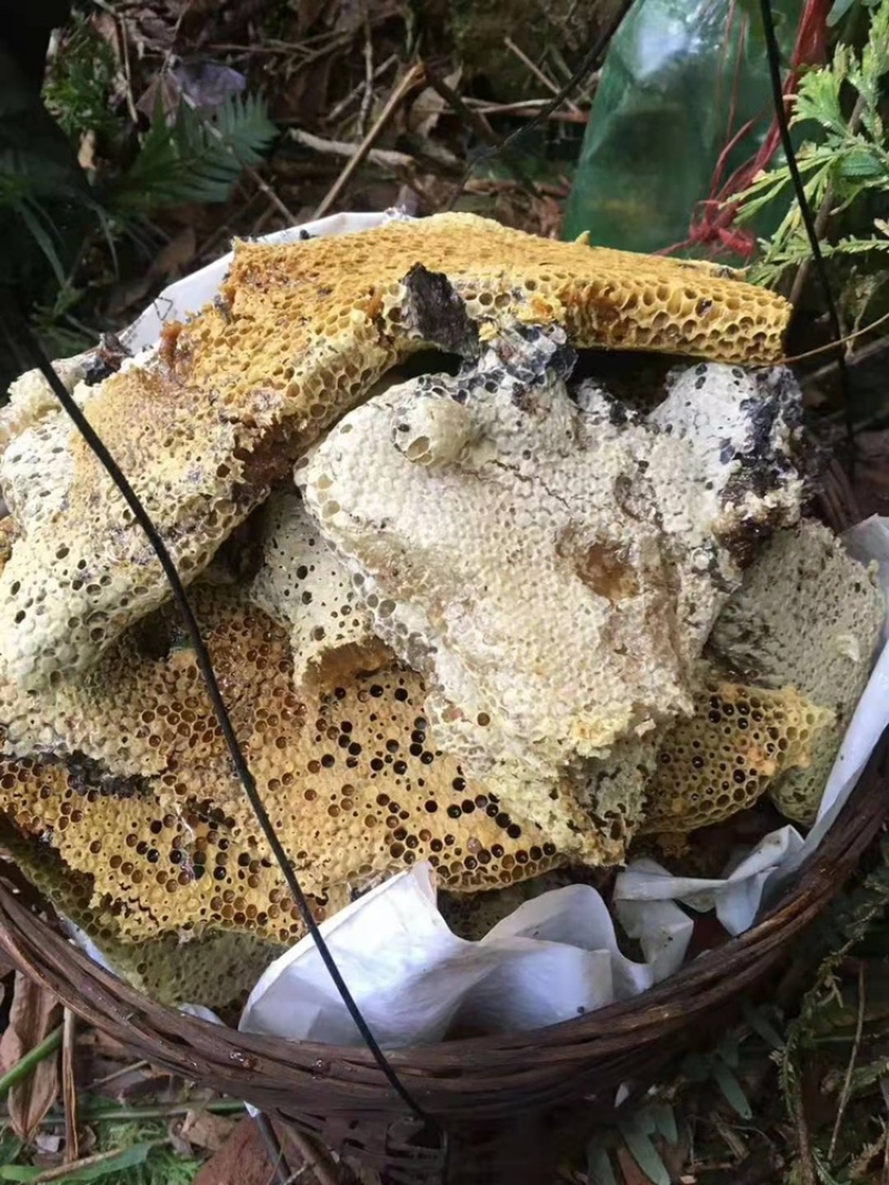 （热销）野生蜂蜜，产地直销，全国发货，量大从优，欢迎订购