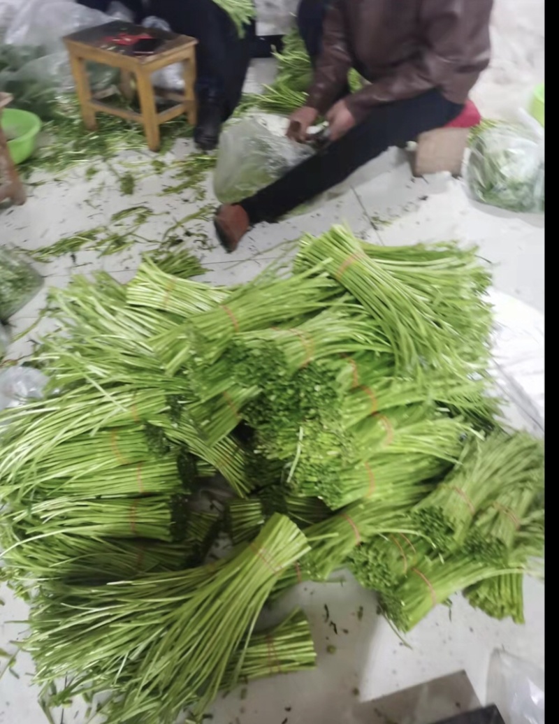 芦篙我们是认真的，做好做大。服务态度决定一切。