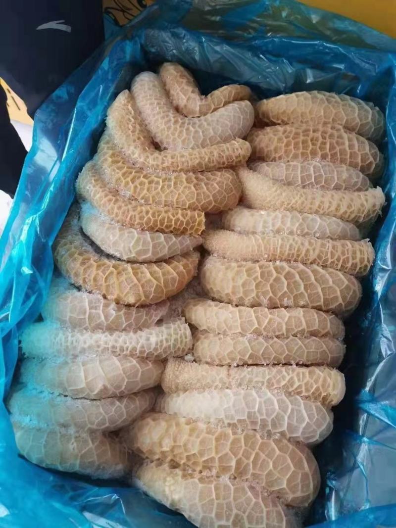 金钱肚