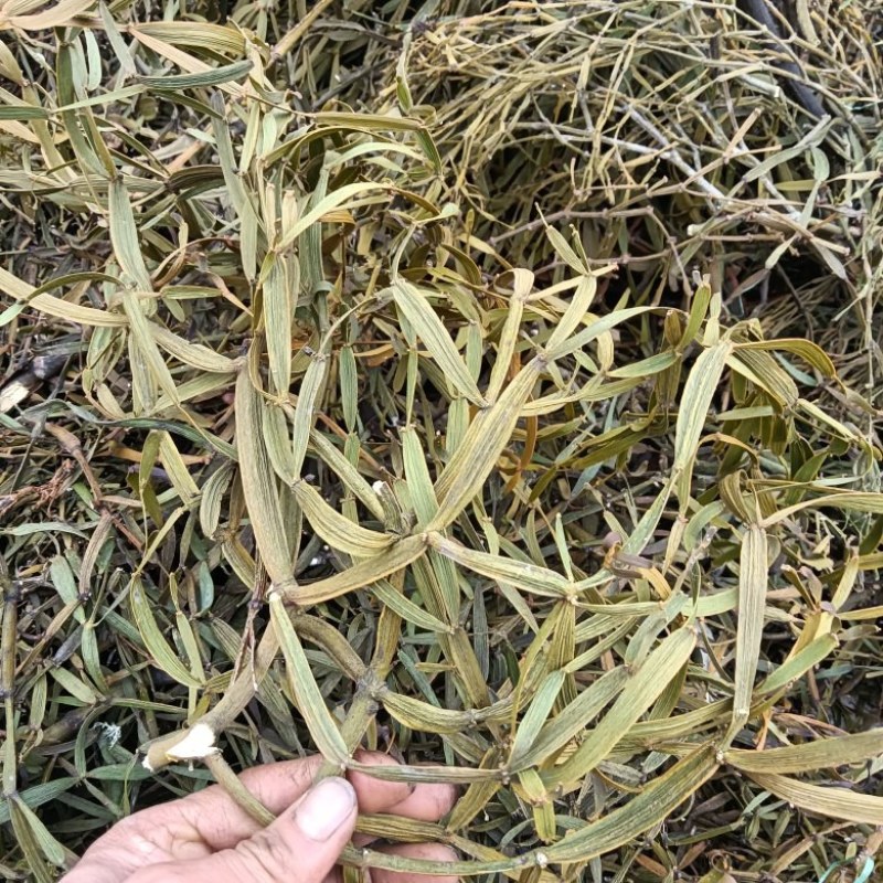 螃蟹脚（中药材，寄生草，干货）