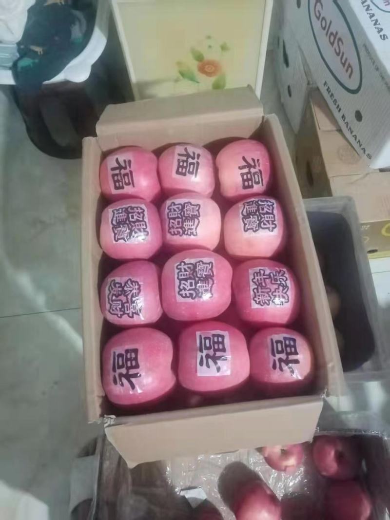 苹果辽南瓦房店市精品富士，口感好，皮毛亮，欢迎全国客商采