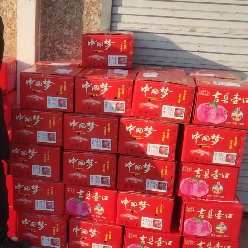 【一件代发】电商微商供货，山西吉县纸袋红富士苹果，脆甜多