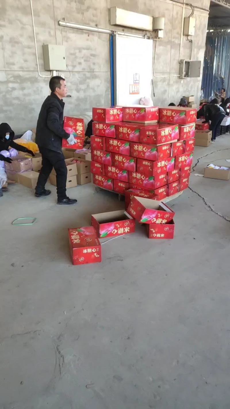 【一件代发】电商微商供货，山西吉县纸袋红富士苹果，脆甜多