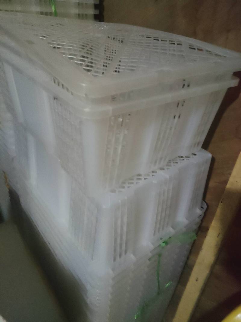 供应二手桂圆框