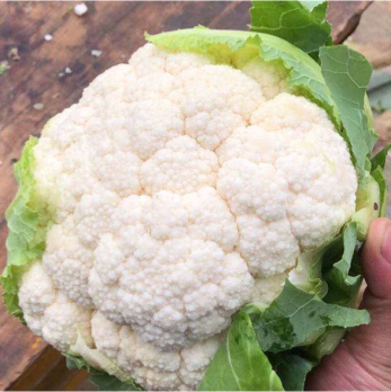 【优质】花菜散装，包装，品质保证供应全国大量出售
