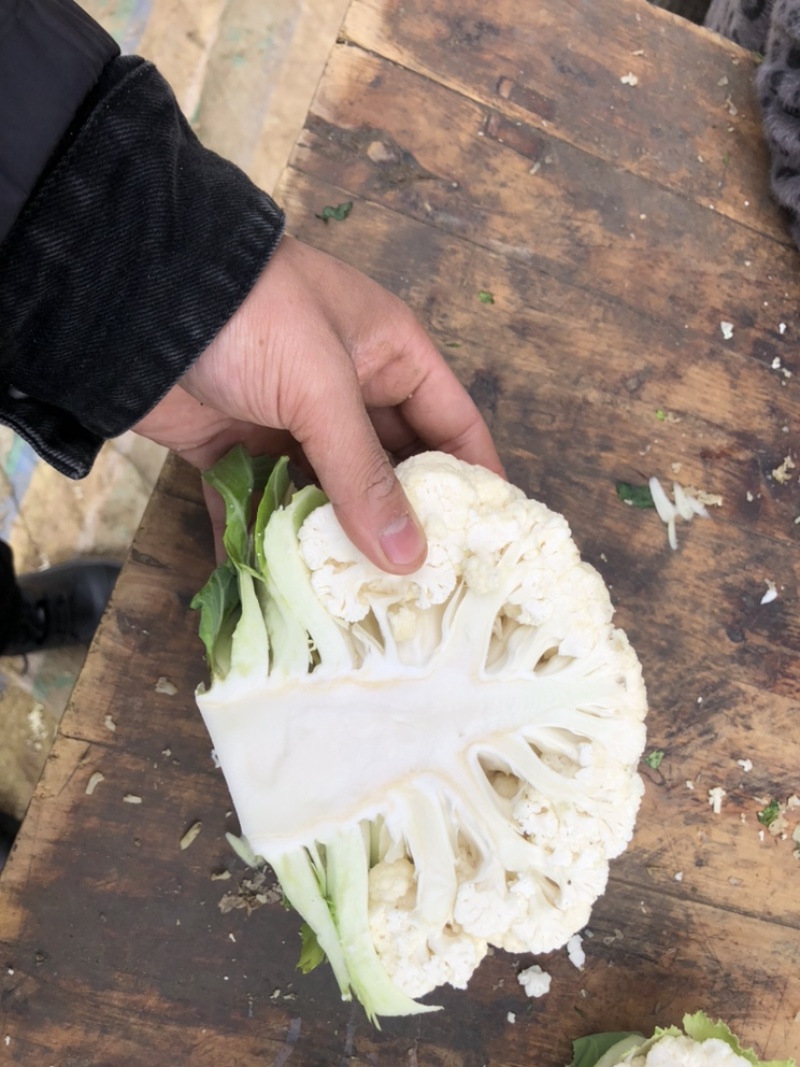 【优质】花菜散装，包装，品质保证供应全国大量出售