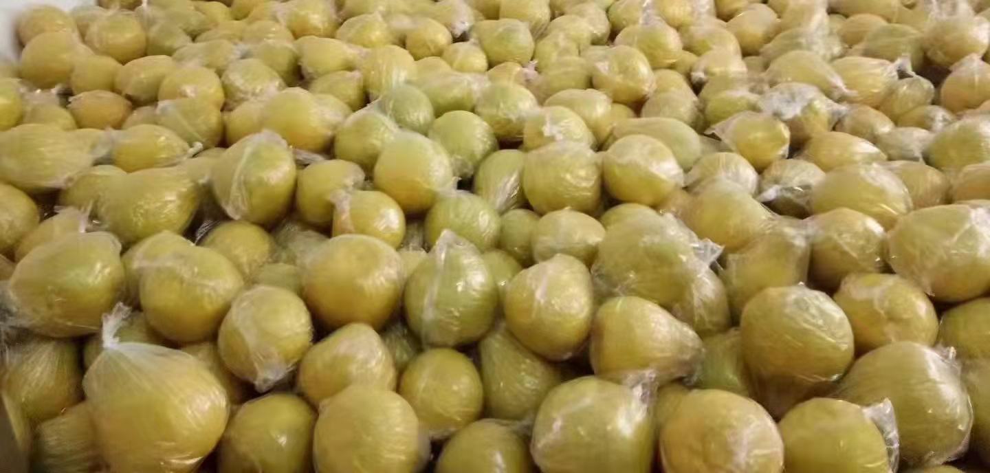 柚子被透明保鲜膜包裹,整齐摆放在塑料托盘上,背景为现代化保鲜仓库 柚子在保鲜膜包裹下整齐摆放