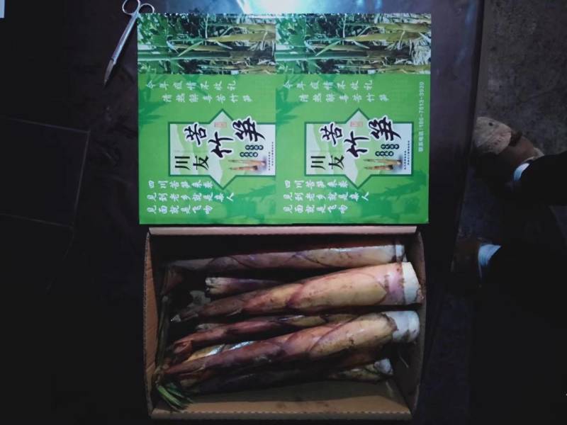 供应甜竹笋纸箱