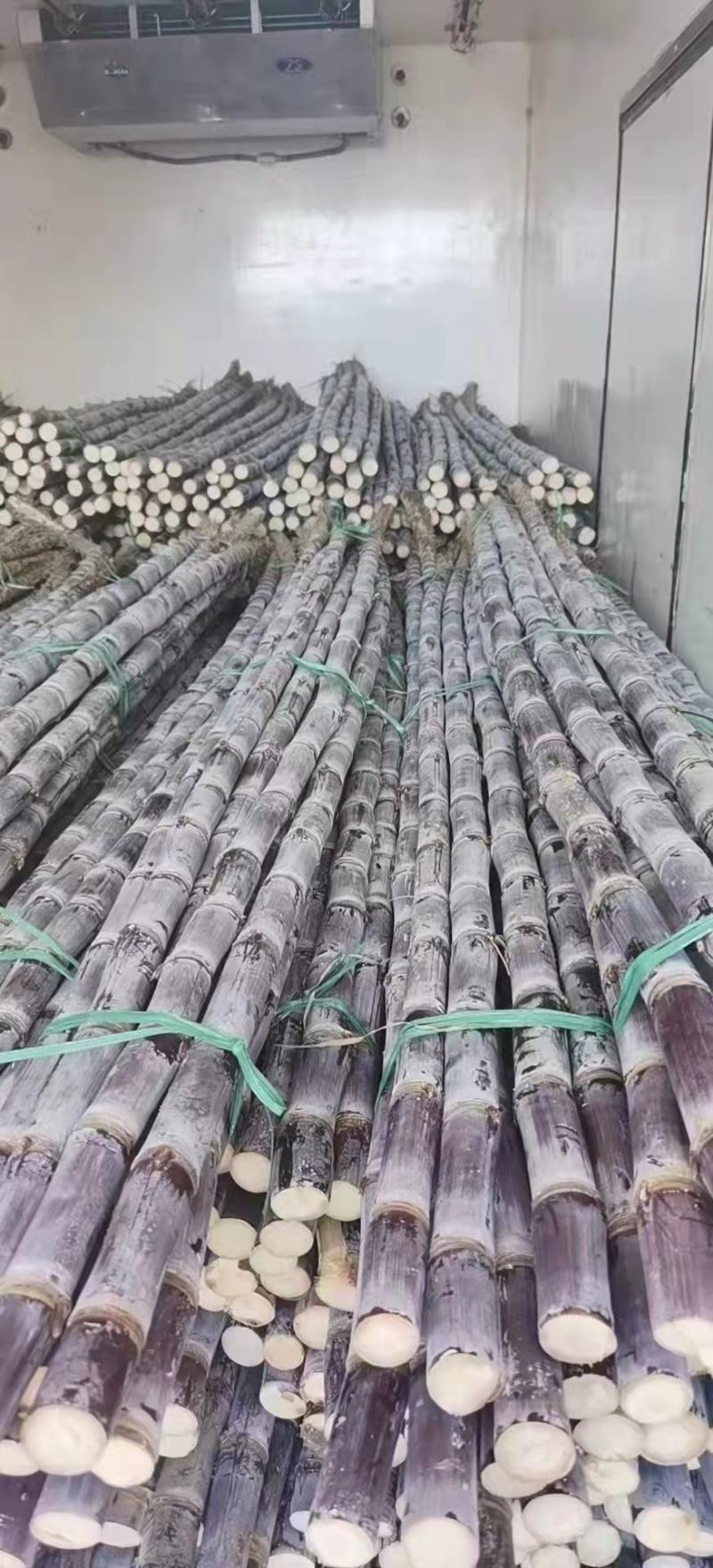 黑皮手撕甘蔗