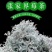 莓茶
