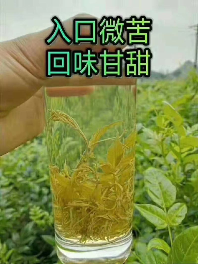 莓茶