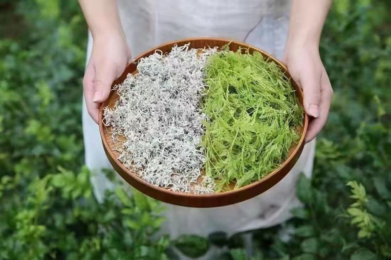 莓茶